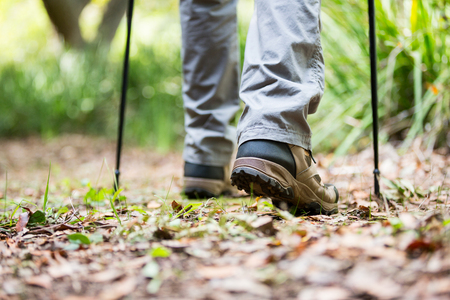 Hiker feet's standing with hiking pole in forestの写真素材