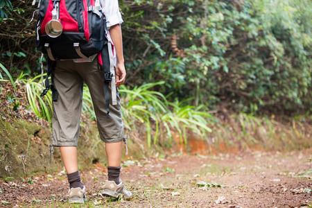 Rear view of female hiker walking in forest with backpackの写真素材