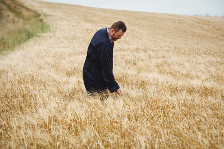 Farmer checking his crops in the field on a sunny dayの写真素材