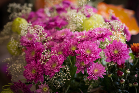 Flowers arranged in florist shop