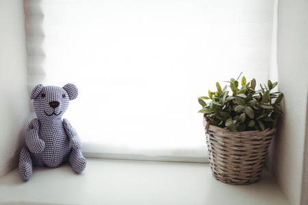 Toy and pot plant at homeの写真素材