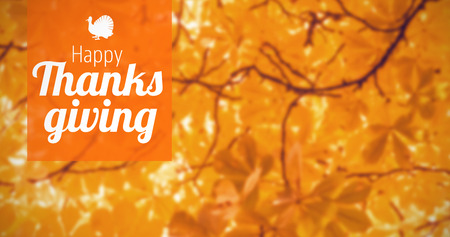 Thanksgiving greeting text against branches and autumnal leavesの写真素材