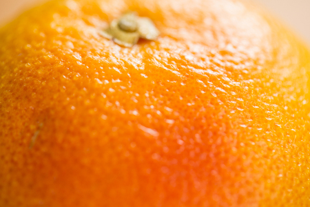 Close-up of orangeの写真素材