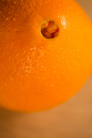 Close-up of orangeの写真素材