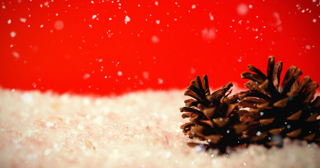 Snow falling against two pine cone on snowの写真素材