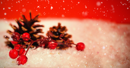 Snow falling against pine cone and red cherry on snowの写真素材