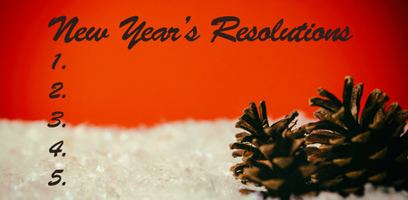 Composite image of new years resolution and pine cone on snowの写真素材
