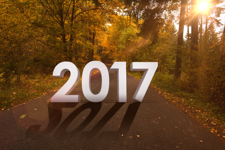 Illustration of numbers against country road along trees in the lush forestの写真素材