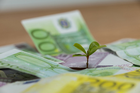 Close-up of small plant growing on currency noteの写真素材