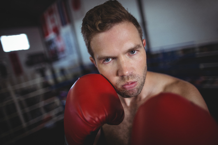 Portrait of confident boxer performing boxing stance in fitness studioの写真素材