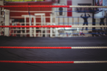 Close-up of boxing ring ropeの写真素材