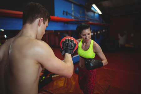 Boxers using focus mitts during training in fitness studioの写真素材