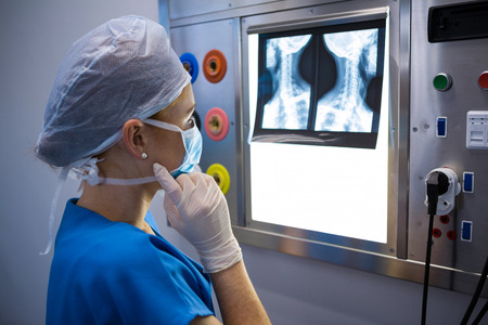 Female nurse examining x-ray on lightbox in hospital