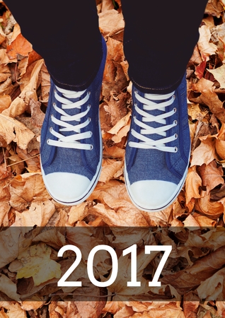 2017 new year wishes with teenager wearing sneakers against lot of dry leavesの写真素材