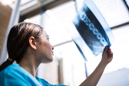 Close-up of a nurse examining X-ray report in hospital