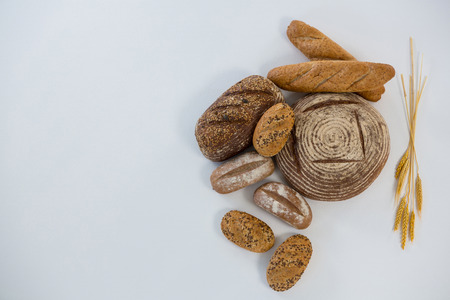 Various bread loaves on white backgroundの写真素材