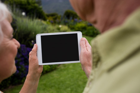 Senior couple using digital tablet in lawnの写真素材