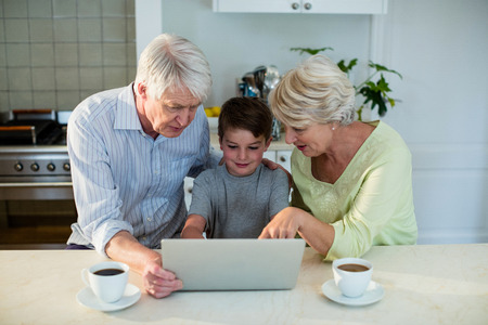 Grandson using laptop with grandparents at home