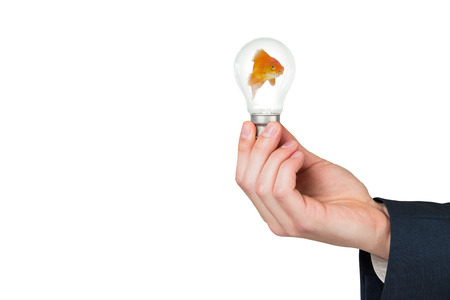 Side view of fish swimming against clear light bulbの写真素材