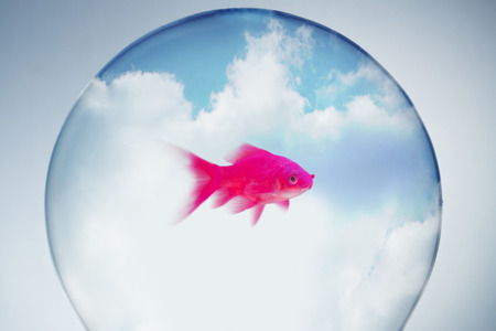 Side view of fish swimming against clear light bulbの写真素材