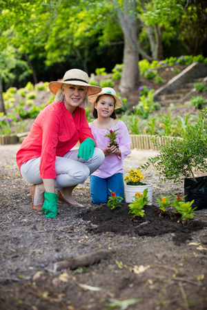 Portrait of grandmother and granddaughter gardening in gardenの写真素材