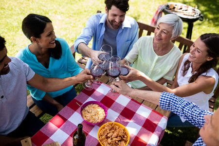 Happy family toasting a glasses of wine in parkの写真素材