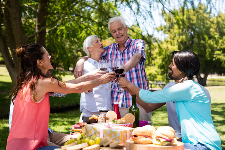 Happy family having red wine in park on a sunny dayの写真素材