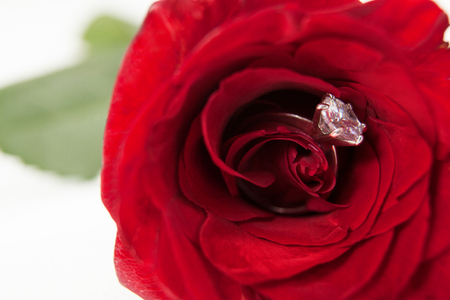 Close-up of red rose with a diamond ringの写真素材