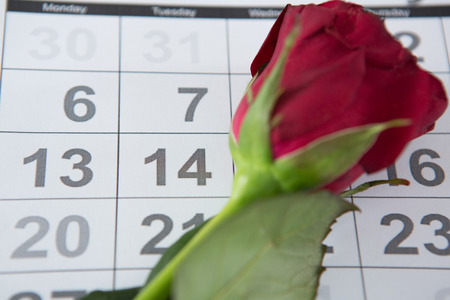 Close-up of red rose on calendarの写真素材