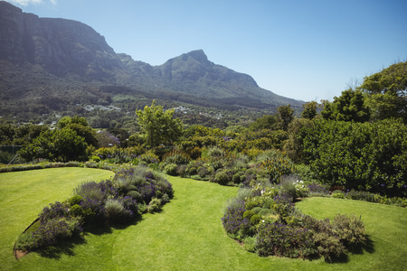 View of beautiful lawn and mountain on a sunny dayの写真素材