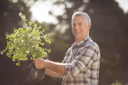 Portrait of happy senior man gardening in backyardの写真素材