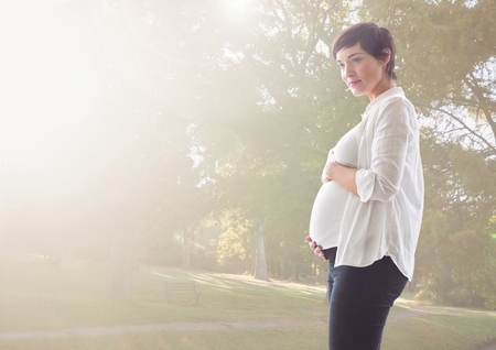 Digital composition of pregnant woman touching her belly standing against greeneryの写真素材