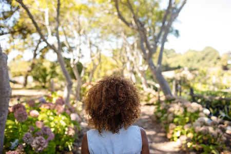Rear view of woman with curly hair standing in parkの写真素材