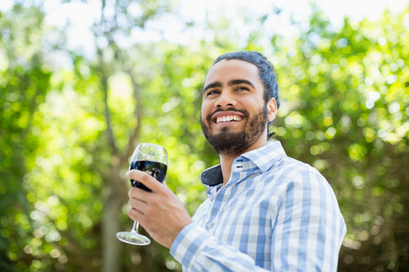 Man holding glass of wine in the park in the park on a sunny dayの写真素材