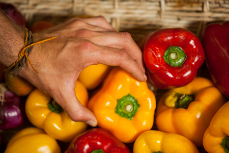 Hand of male staff selecting bell pepper in organic section of supermarketの写真素材