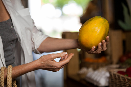 Close-up of woman hand holding papayaの写真素材
