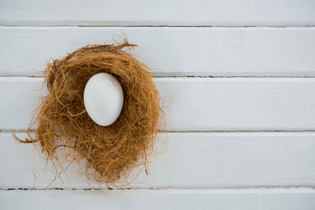 Close-up of white egg in the nest on wooden surfaceの写真素材