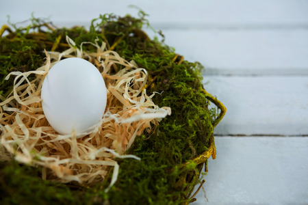 Close-up of white egg in the nest on wooden surfaceの写真素材