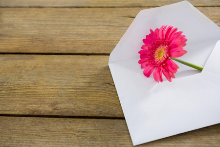 Close-up of pink flower in envelope on wooden plankの写真素材