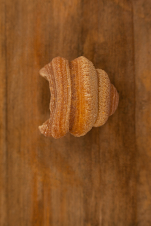 Conchiglie pasta isolated on wooden background