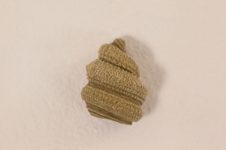 Conchiglie pasta isolated on white backgroundの写真素材