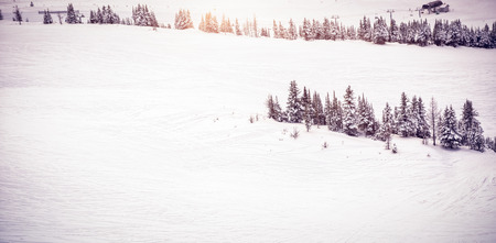 Scenic view of snow covered landscape during winter