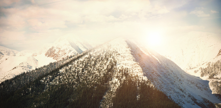 Scenic view of snow covered mountains in forest