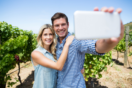 Happy couple taking selfie through mobile phone at vineyard against clear blue skyの写真素材