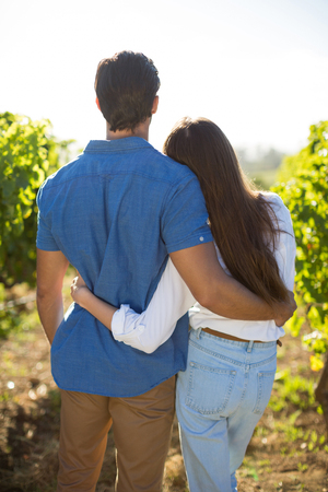 Rear view of young couple embracing at vineyard during sunny dayの写真素材