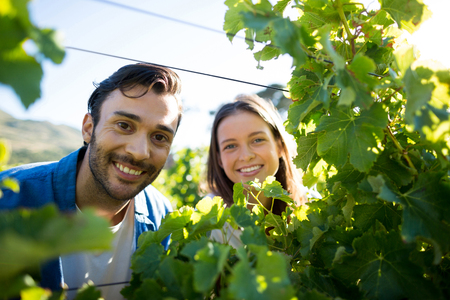 Portrait of smiling couple looking through plants at vineyardの写真素材
