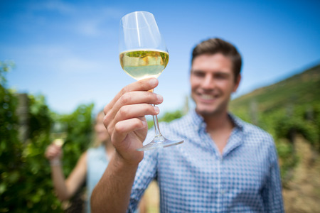 Young man holding wineglass at vineyard against blue sky