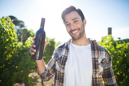Portrait of man holding wine bottle at vineyard during sunny dayの写真素材