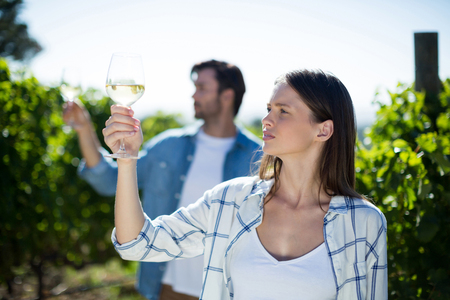 Young couple posing with wineglasses at vineyardの写真素材