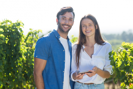 Portrait of happy young couple holding mobile phone at vineyard during sunny dayの写真素材